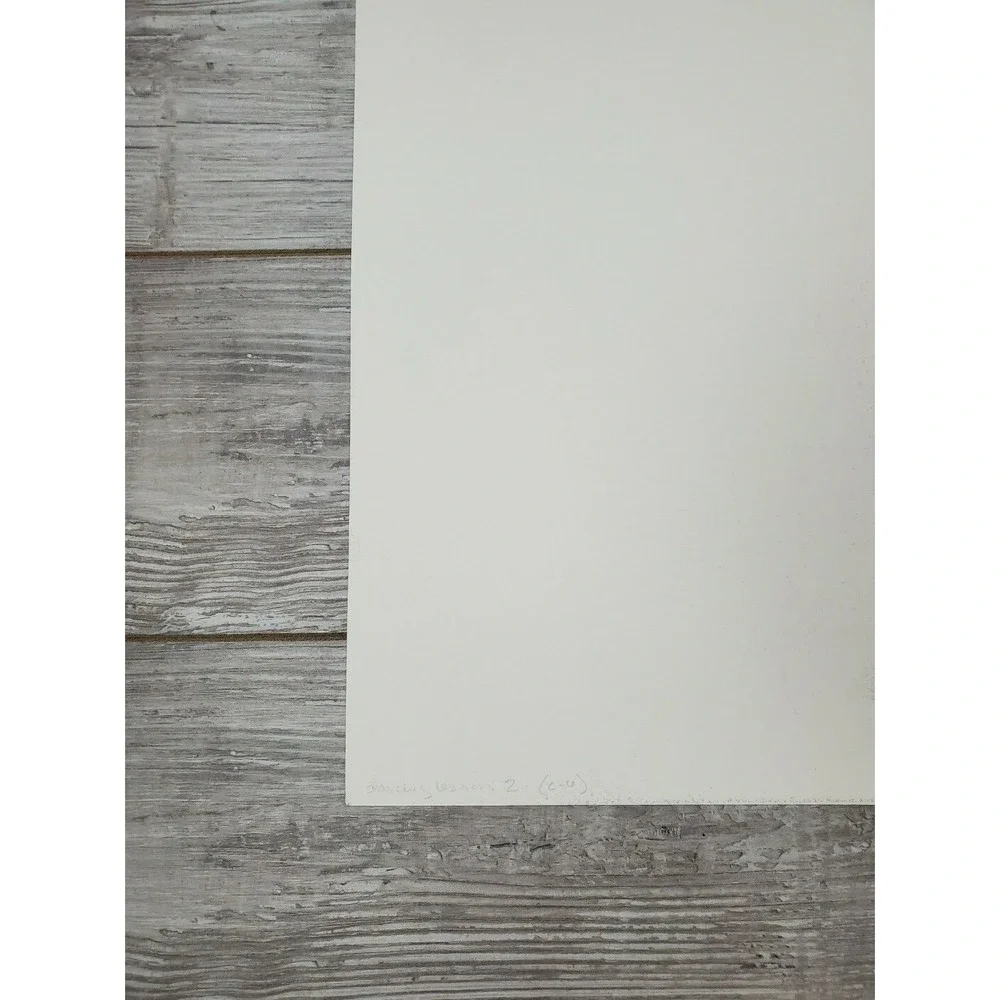 Joanne Seltzer Dancing Lesson 2 AP Lithograph 30